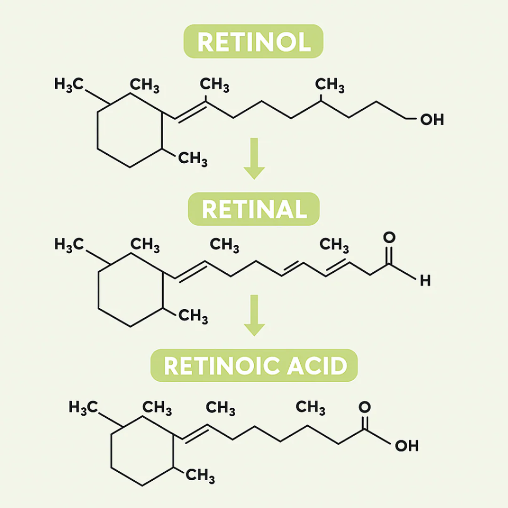 Retinal Reafirmante - Mejora tu apariencia