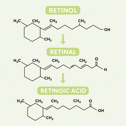 Retinal Reafirmante - Mejora tu apariencia
